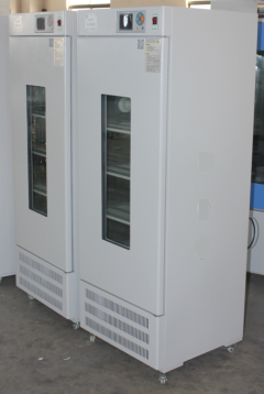 SPX-400-II智能生化培养箱/微电脑带打印